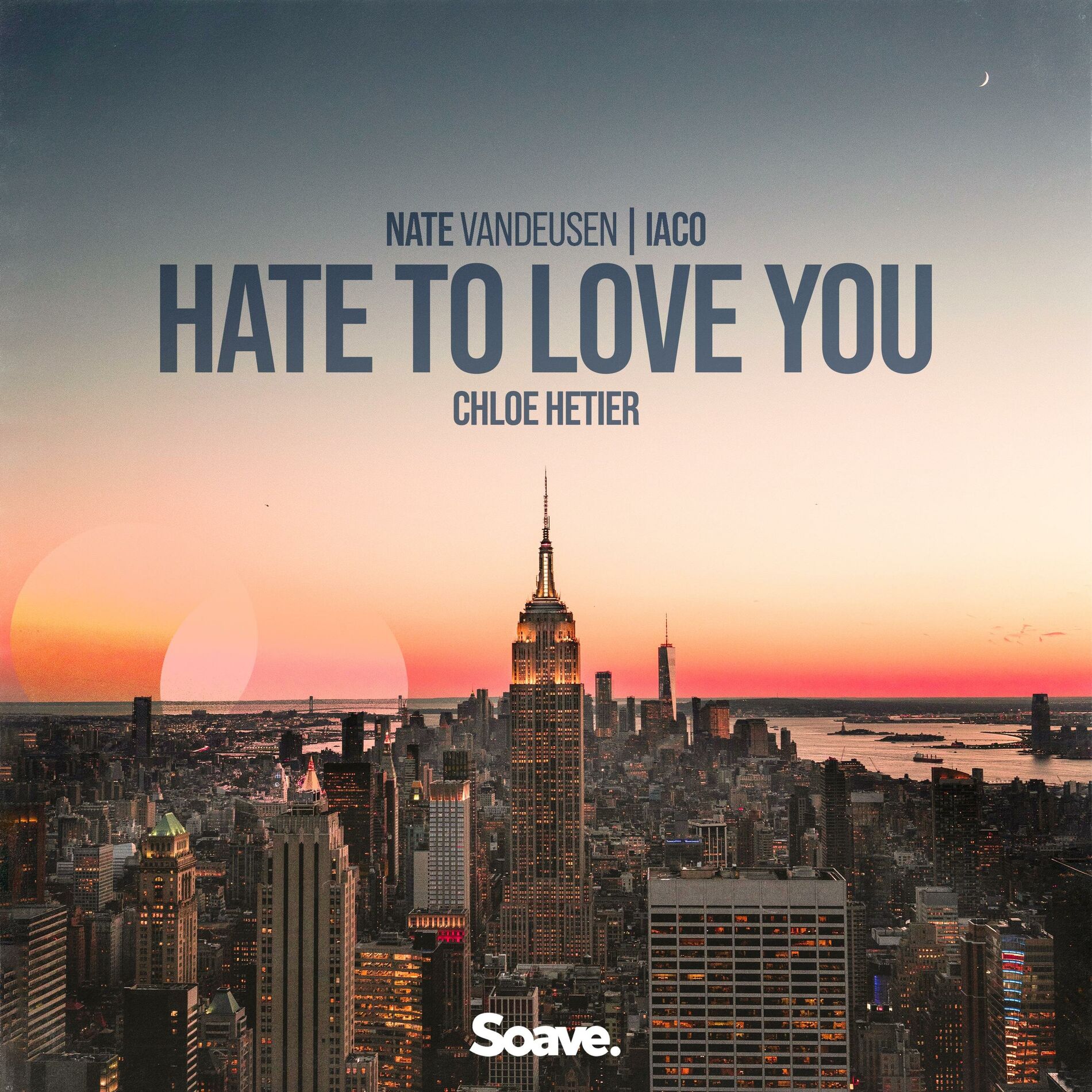 Album cover of Hate To Love You