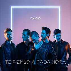 Cover of TE PIENSO A CADA HORA