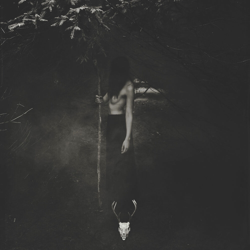 Picture of Embrace the Wretched Flesh