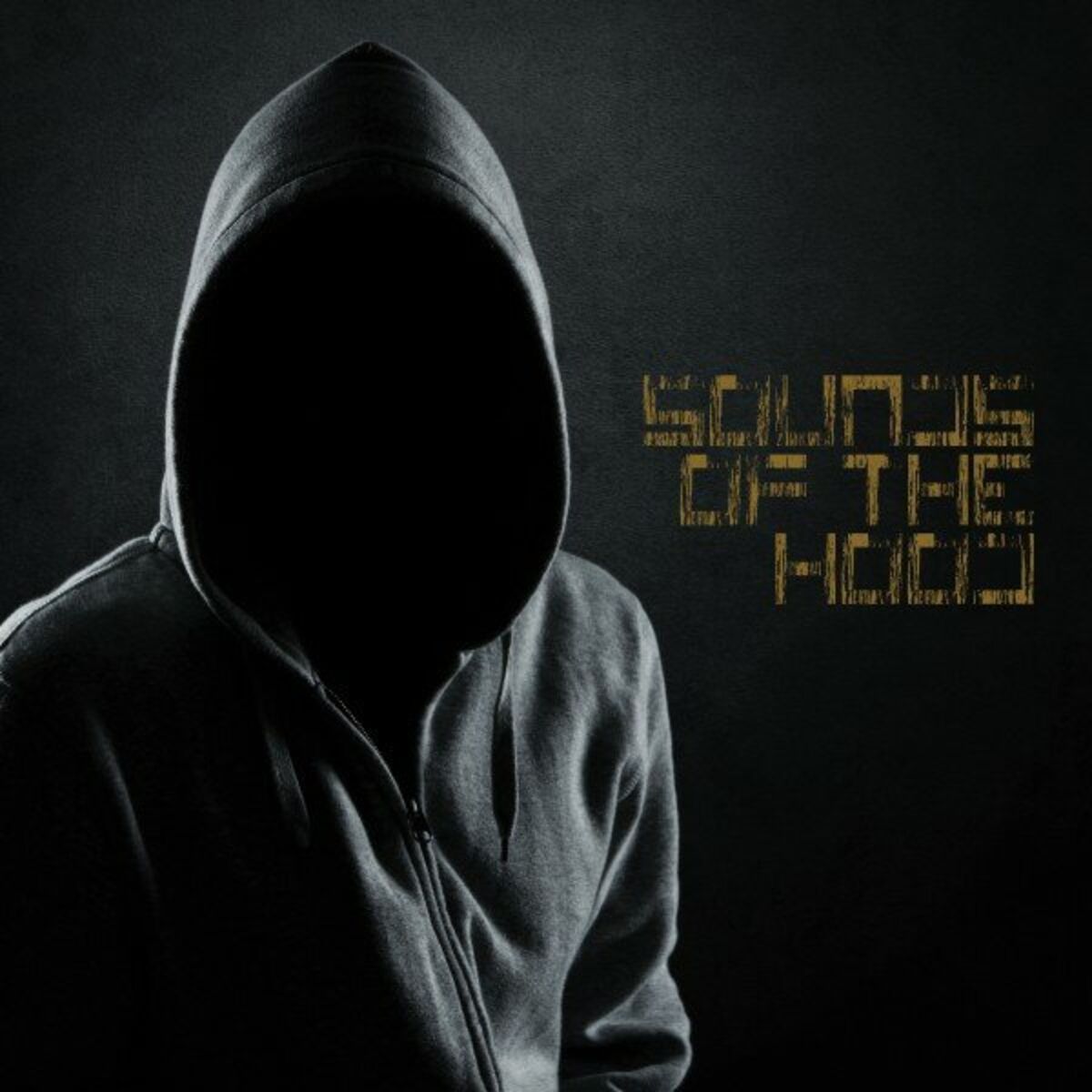 Album cover of Sounds of the Hood