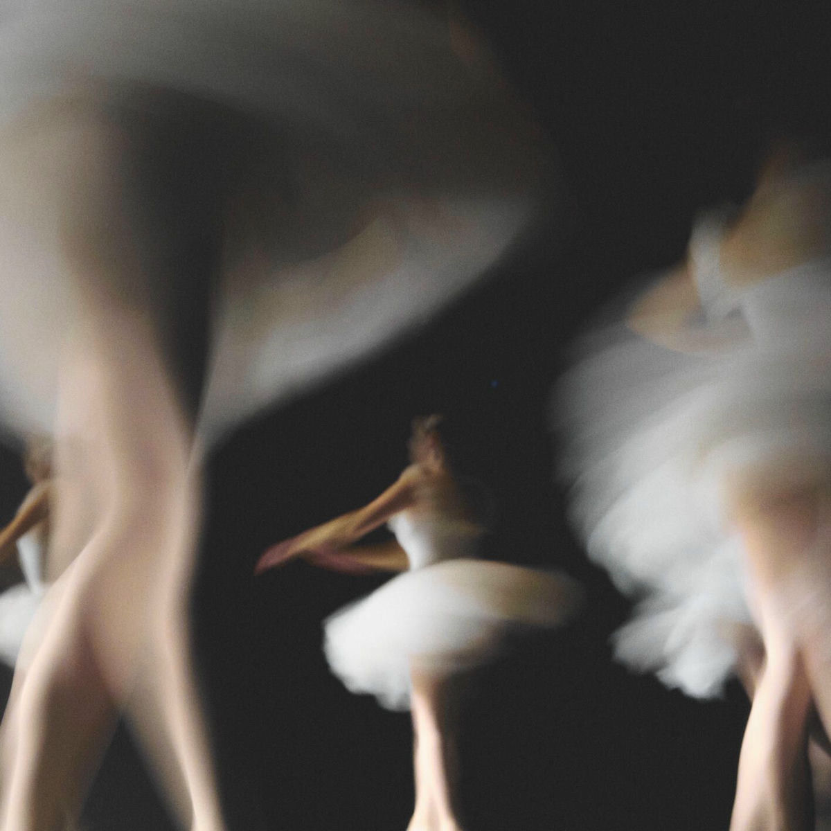 Album cover of Laberinto