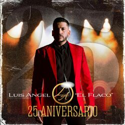 Cover of 25 Aniversario