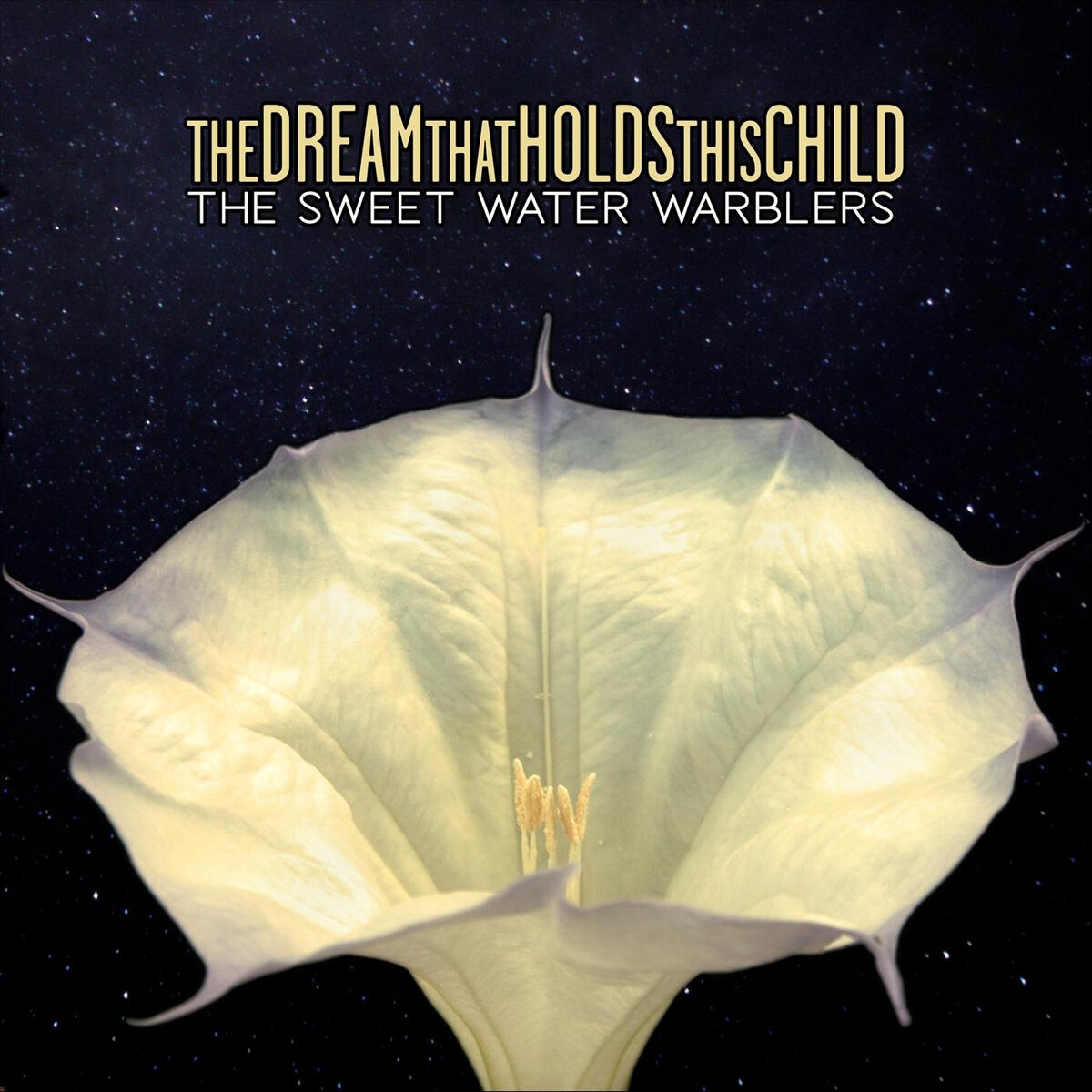 Album cover of The Dream That Holds This Child