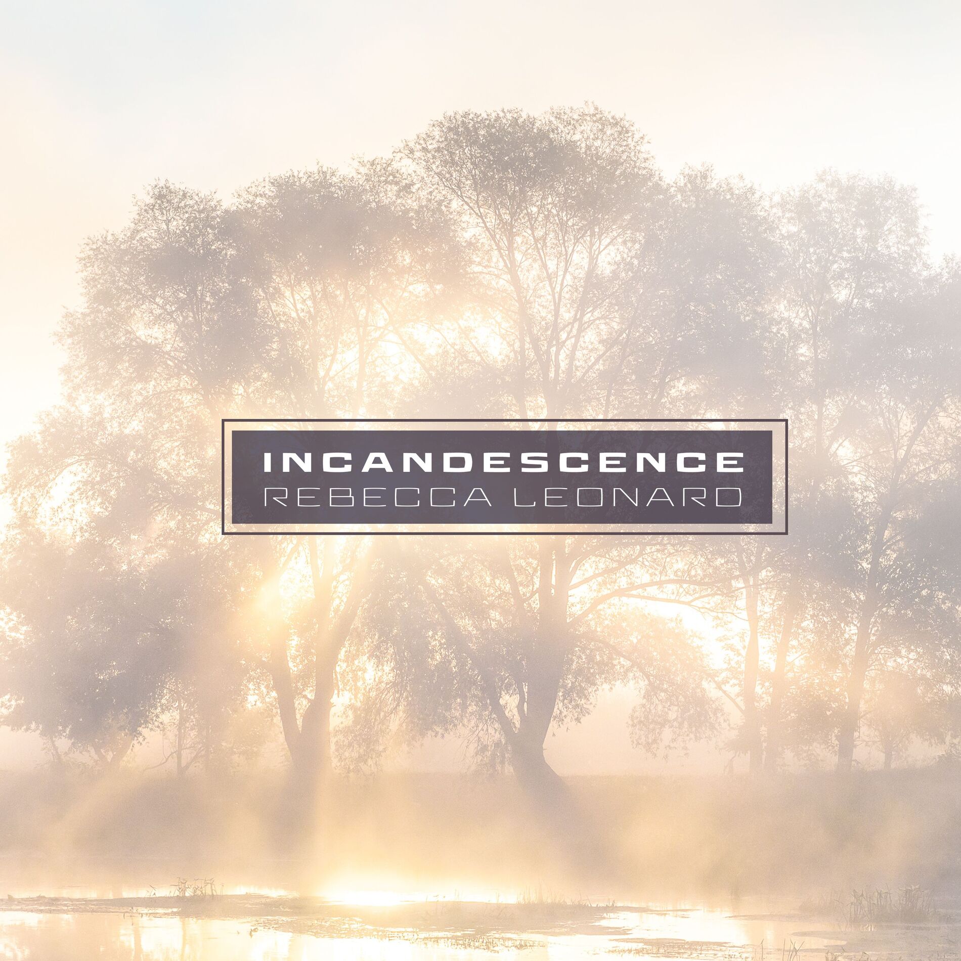 Album cover of Incandescence
