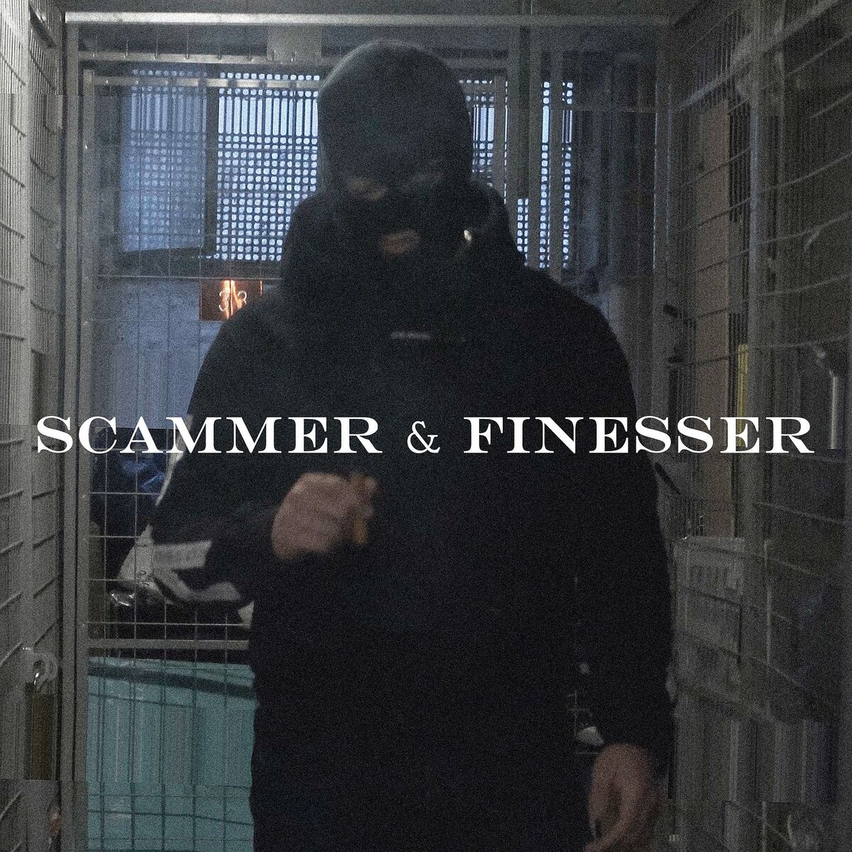 Album cover of Scammer & Finesser