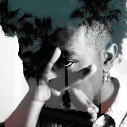 Cover of Clairvoyant