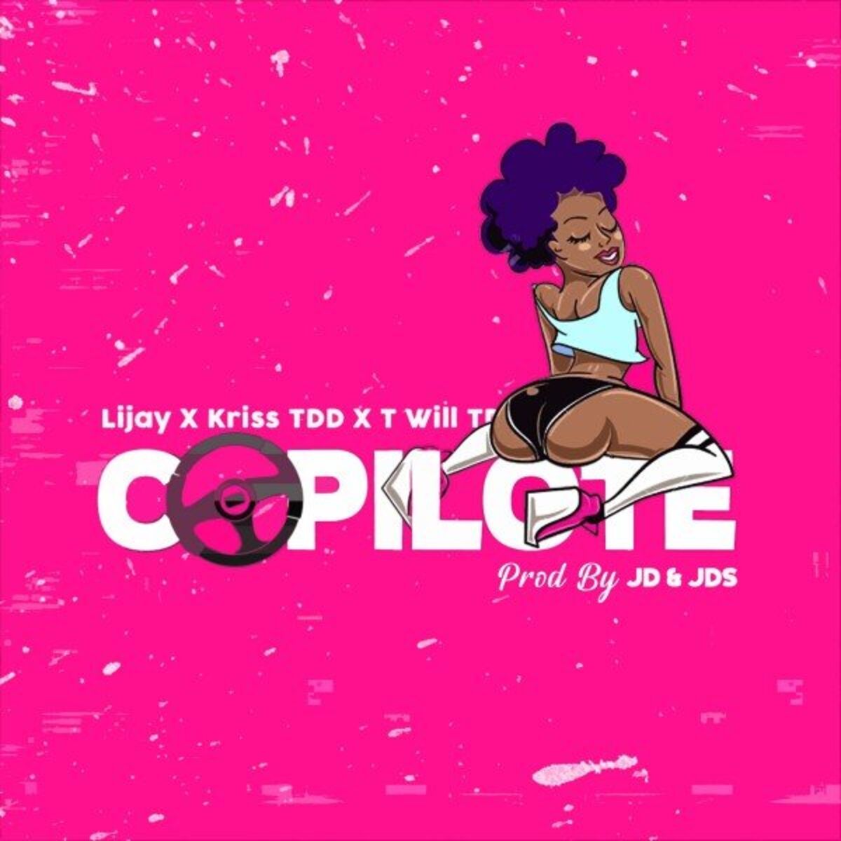 Album cover of Copilote