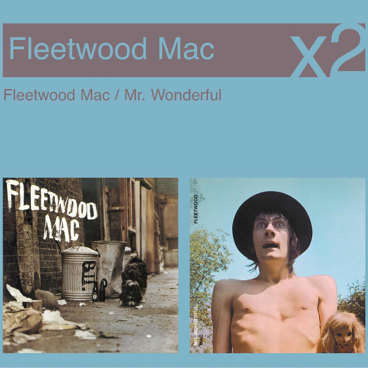 Album cover of Fleetwood Mac / Mr Wonderful
