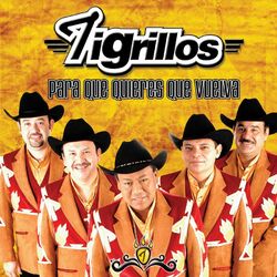 Cover of Para que quieres que vuelva