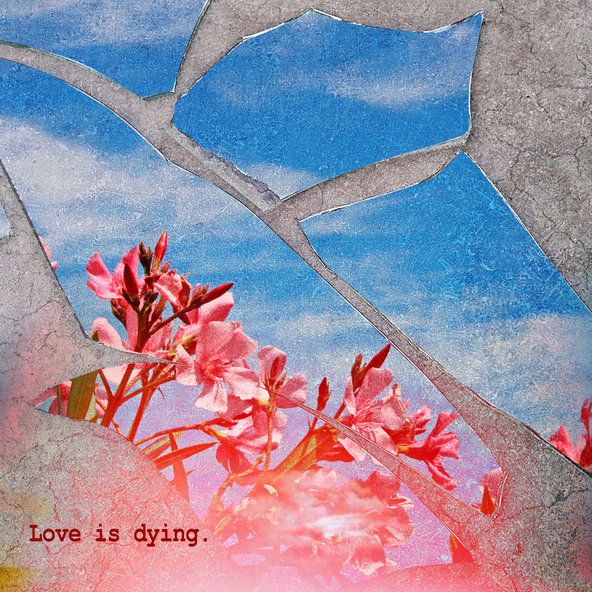 Album cover of love is dying.