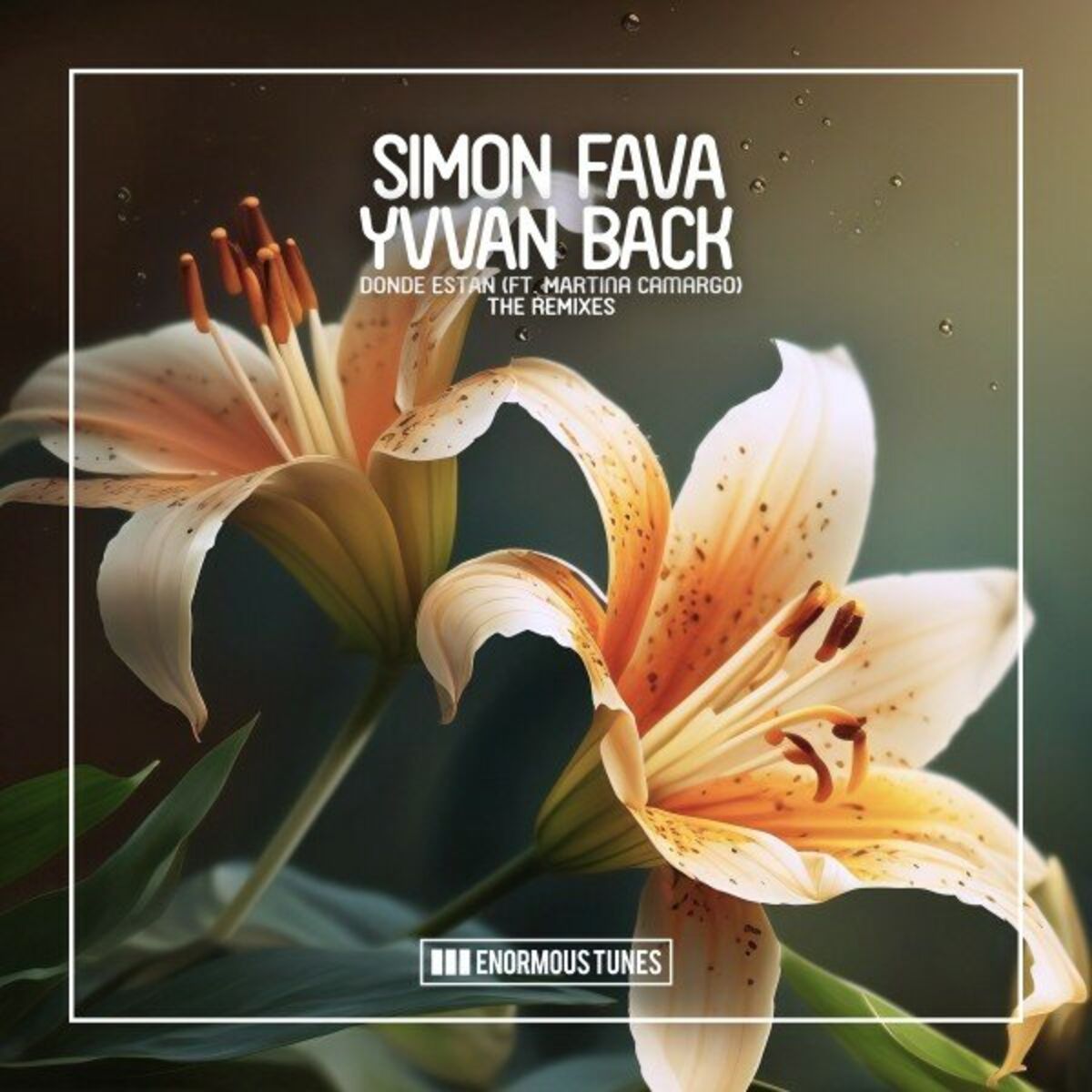 Album cover of Donde Estan (The Remixes)