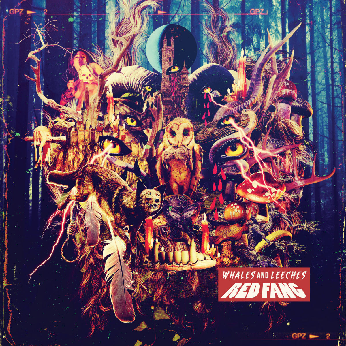 Album cover of Blood Like Cream