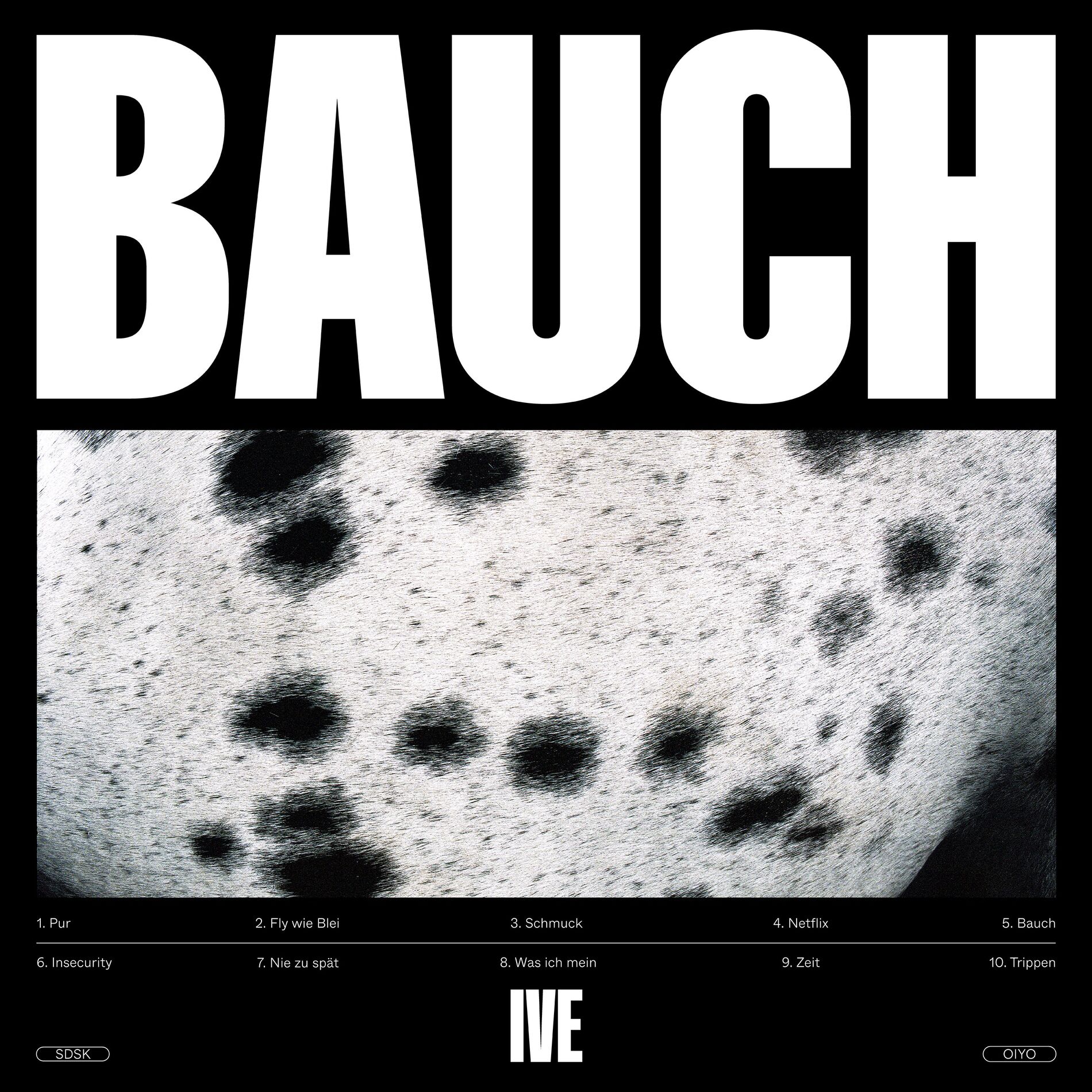 Album cover of Bauch