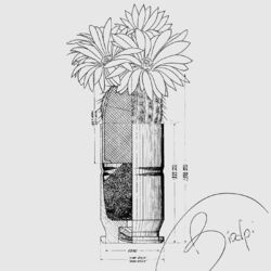 Cover of Closing Doors