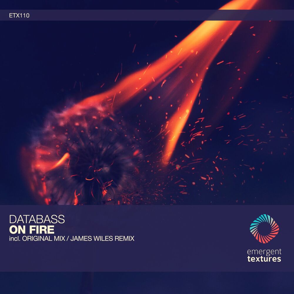 Picture of On Fire