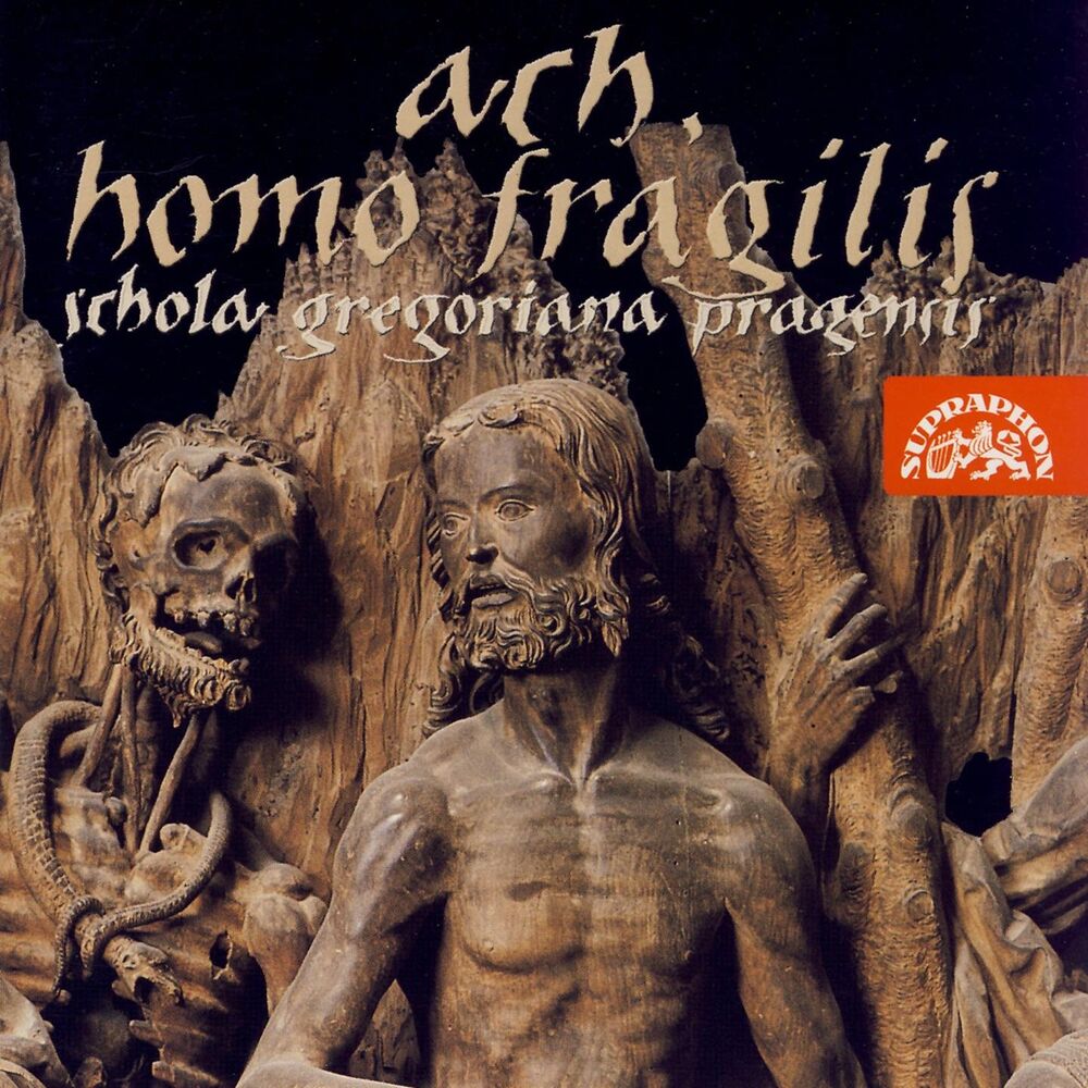 Picture of Ach, homo fragilis