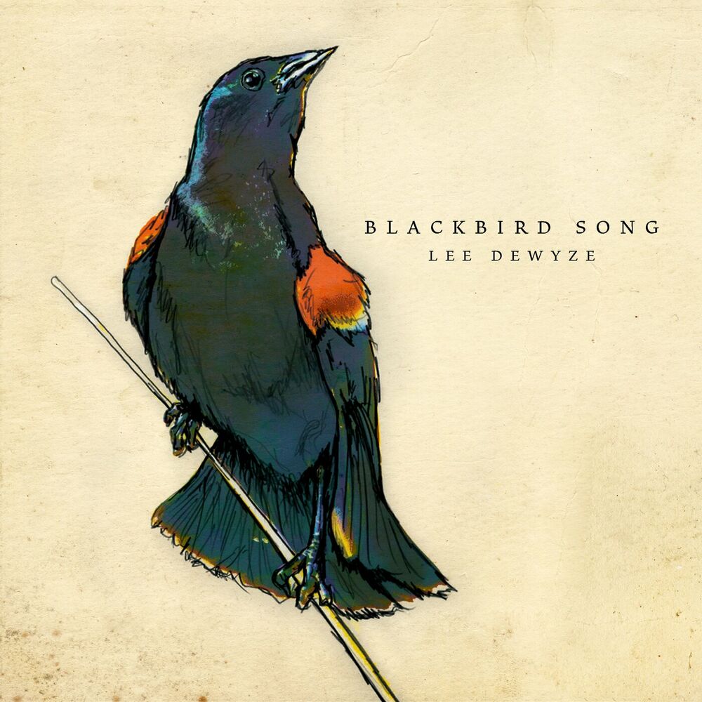 Picture of Blackbird Song