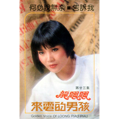 龍飄飄, Vol. 23: 來電的男孩 (修復版)