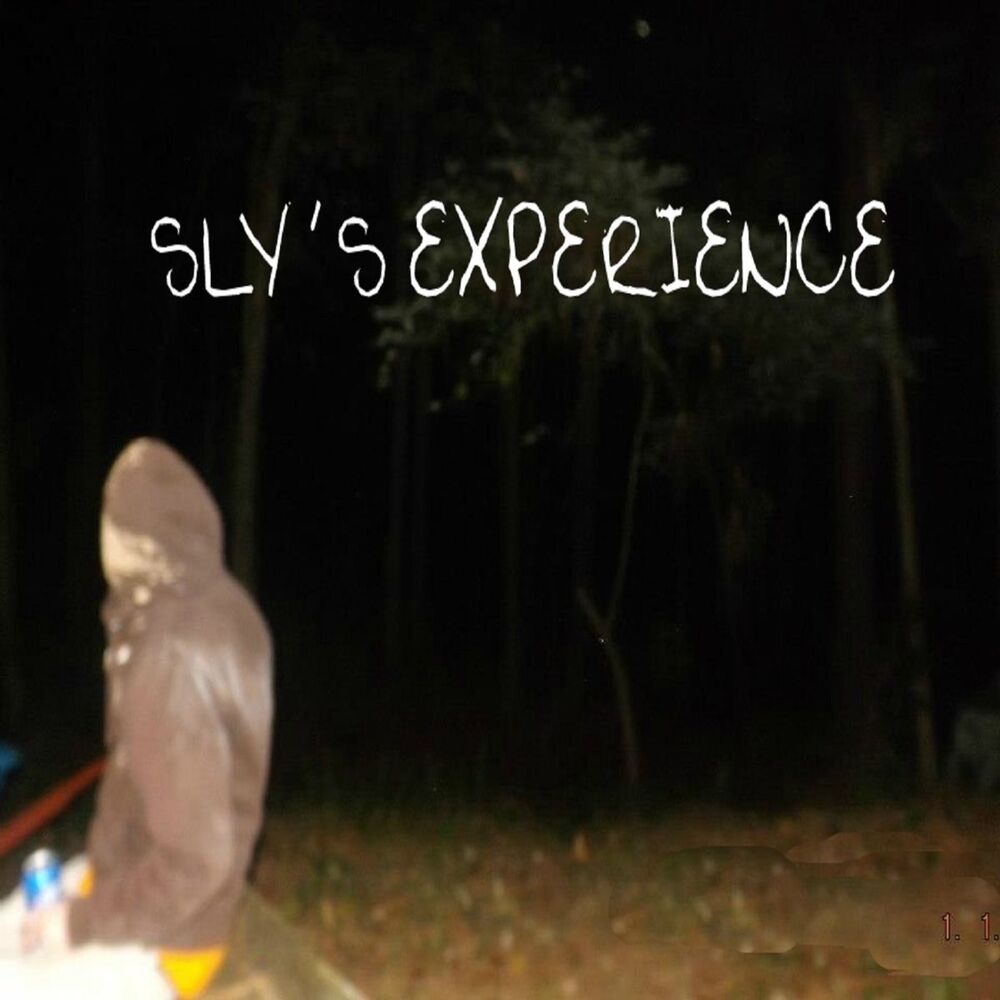 Picture of Sly's Experience