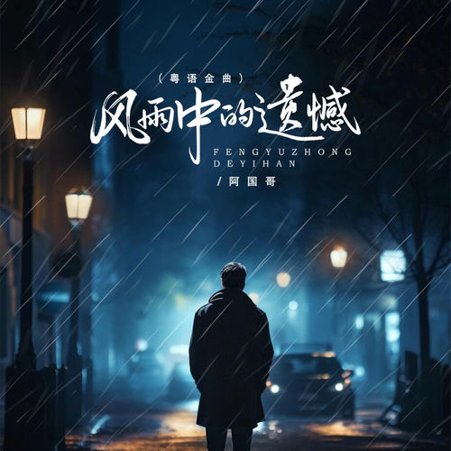 风雨中的遗憾 (DJ京仔粤语金曲版)
