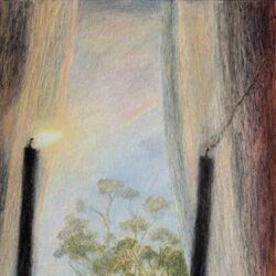 Cover of Polly