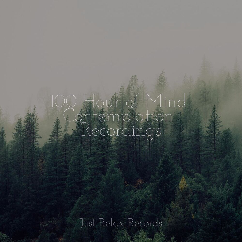 Picture of 100 Hour of Mind Contemplation Recordings