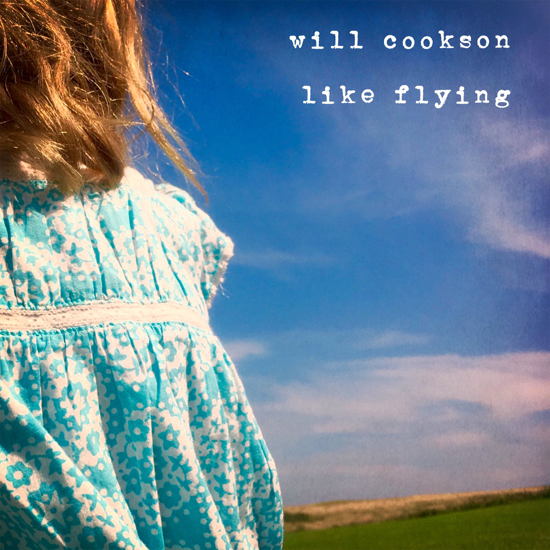 Album cover of Devil's Waltz