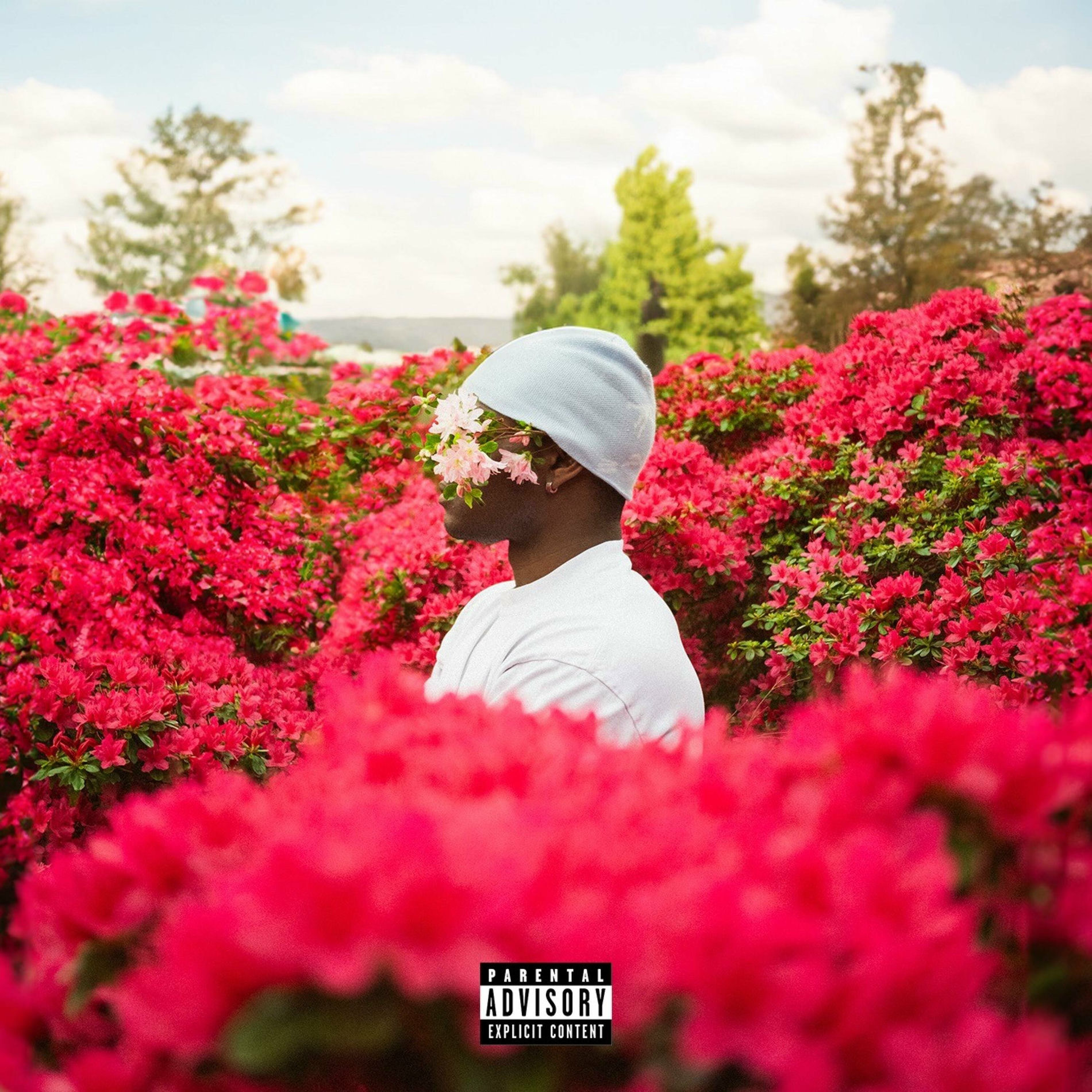 Album cover of What she likes (feat. Noxz)