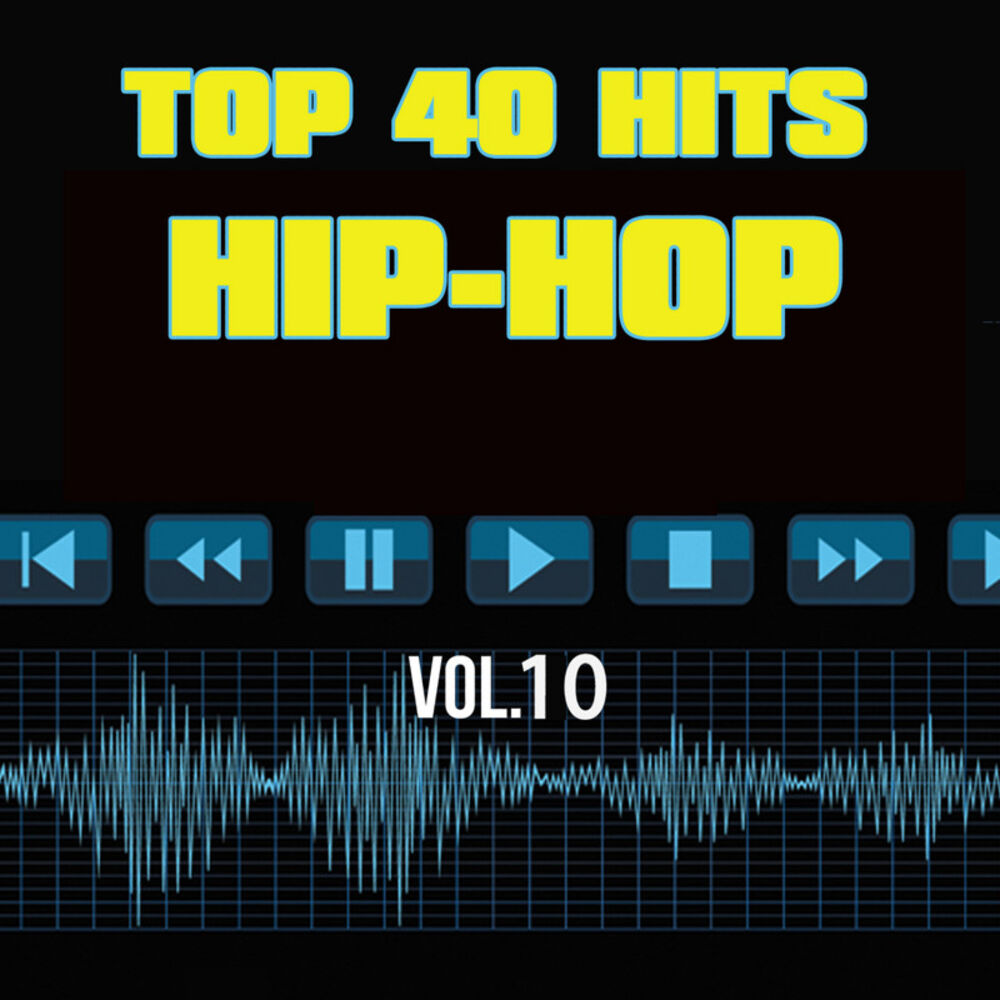 Picture of Top 40 Hits Hip Hop, Vol. 10