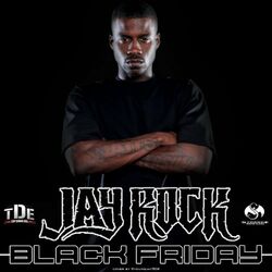 Cover of Black Friday