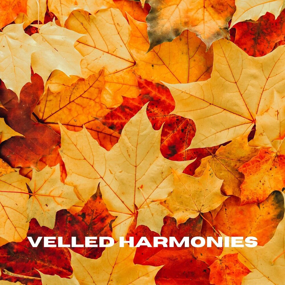 Picture of Veiled Harmonies