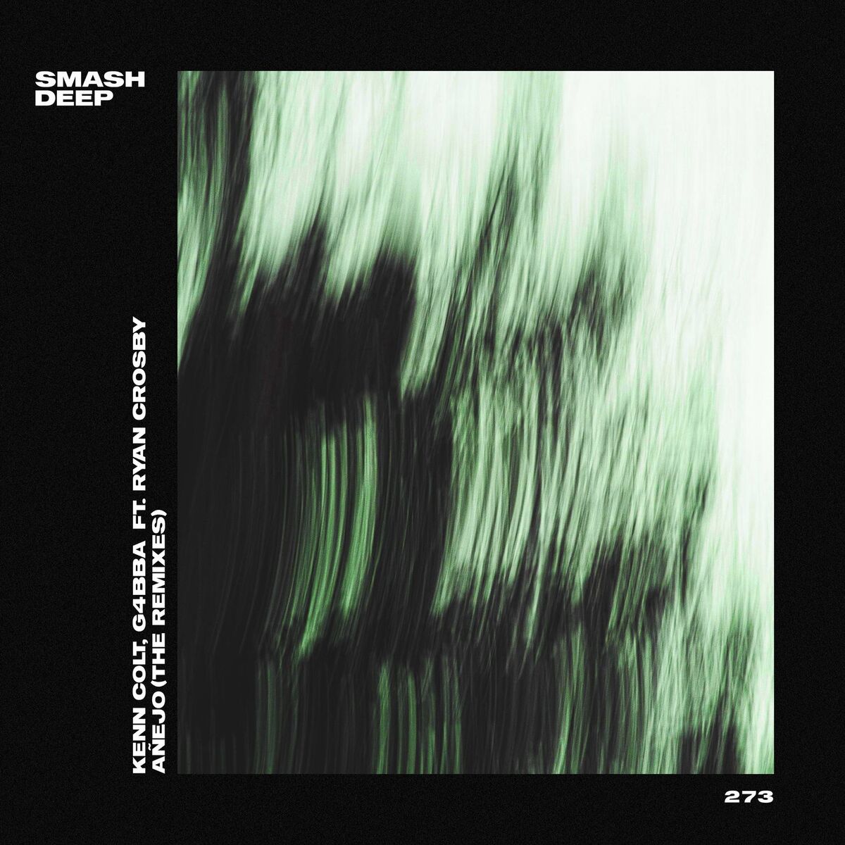 Album cover of Añejo (The Remixes)