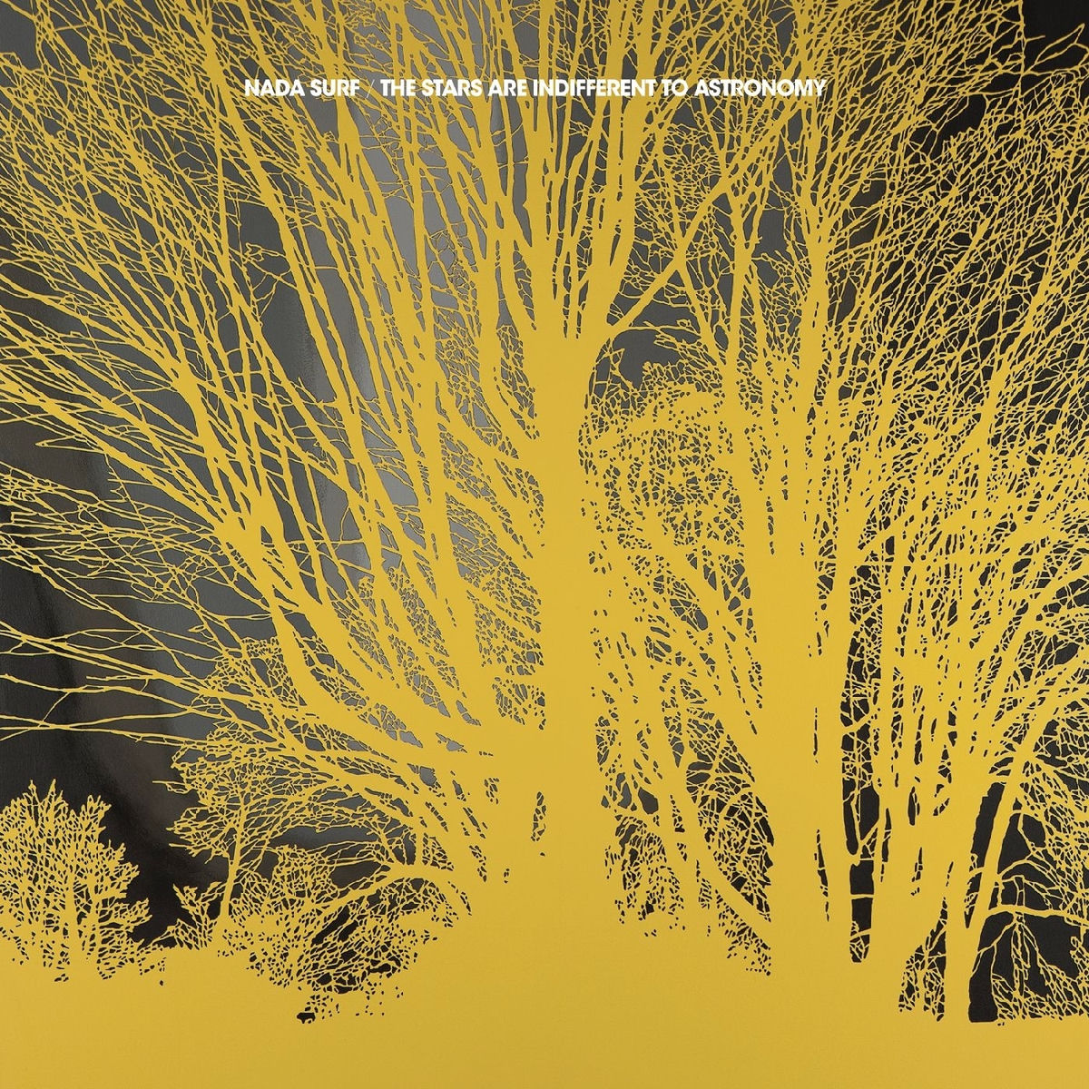 Album cover of The Stars Are Indifferent To Astronomy