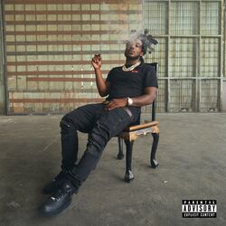 Cover of Internal Affairs