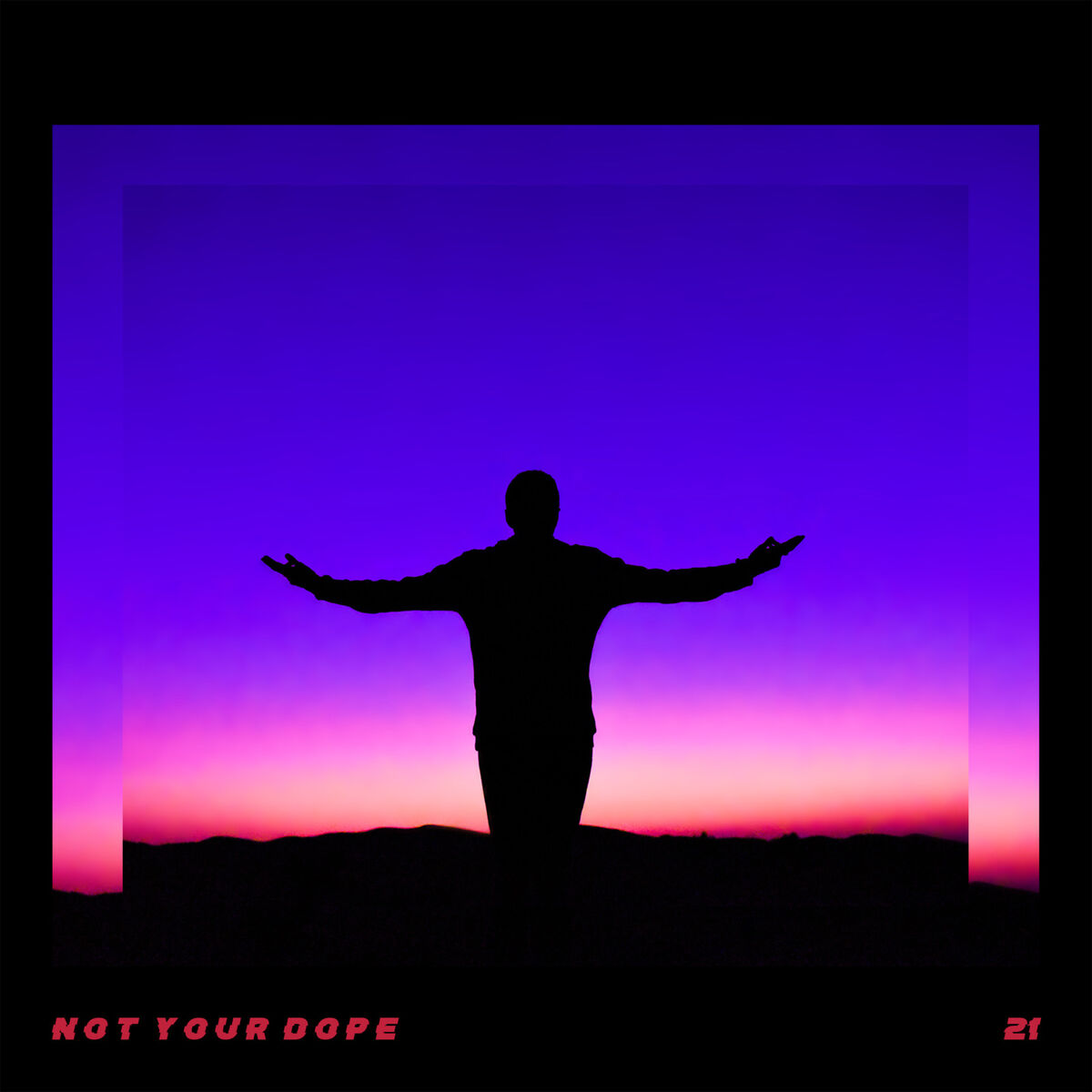 Album cover of 21