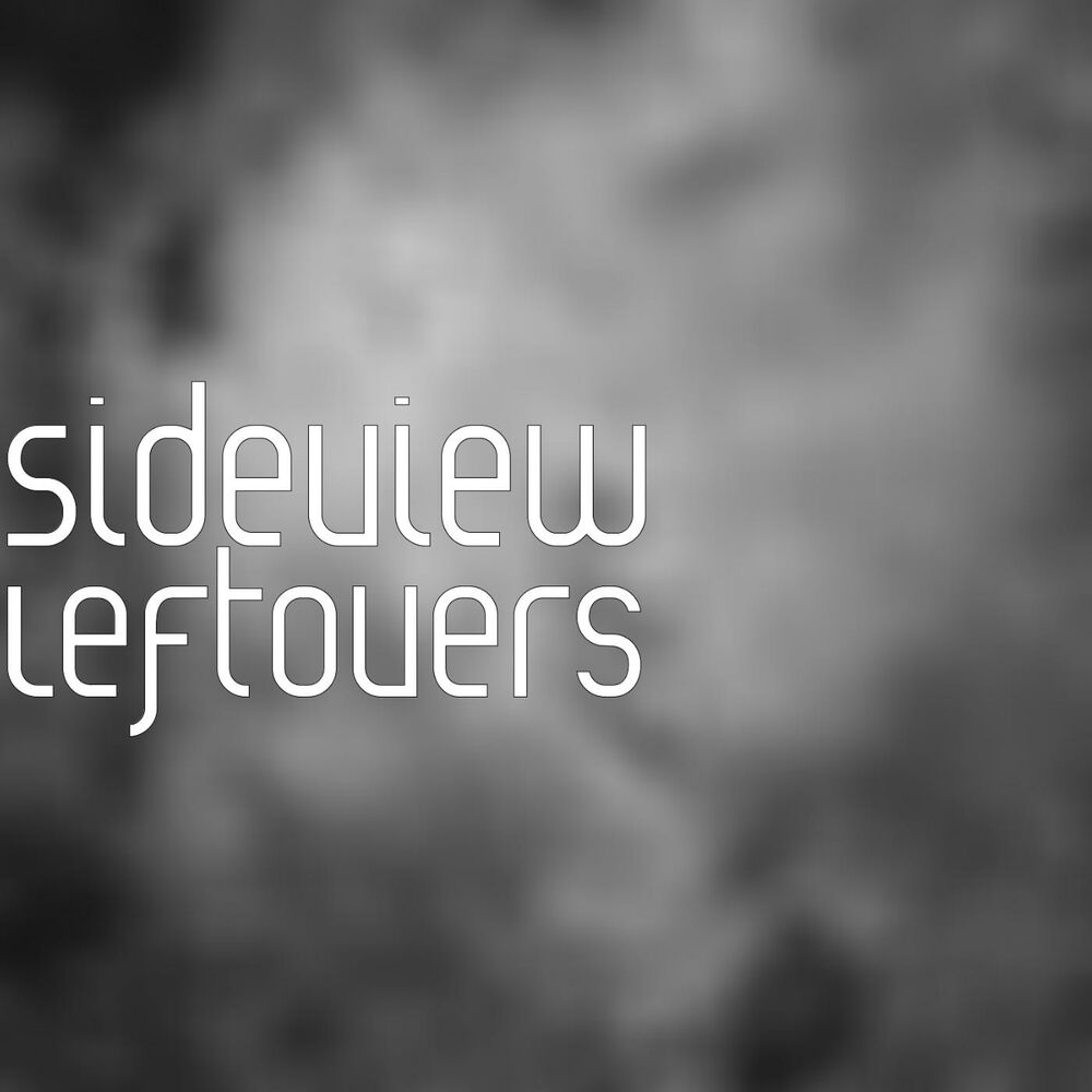 Picture of Leftovers