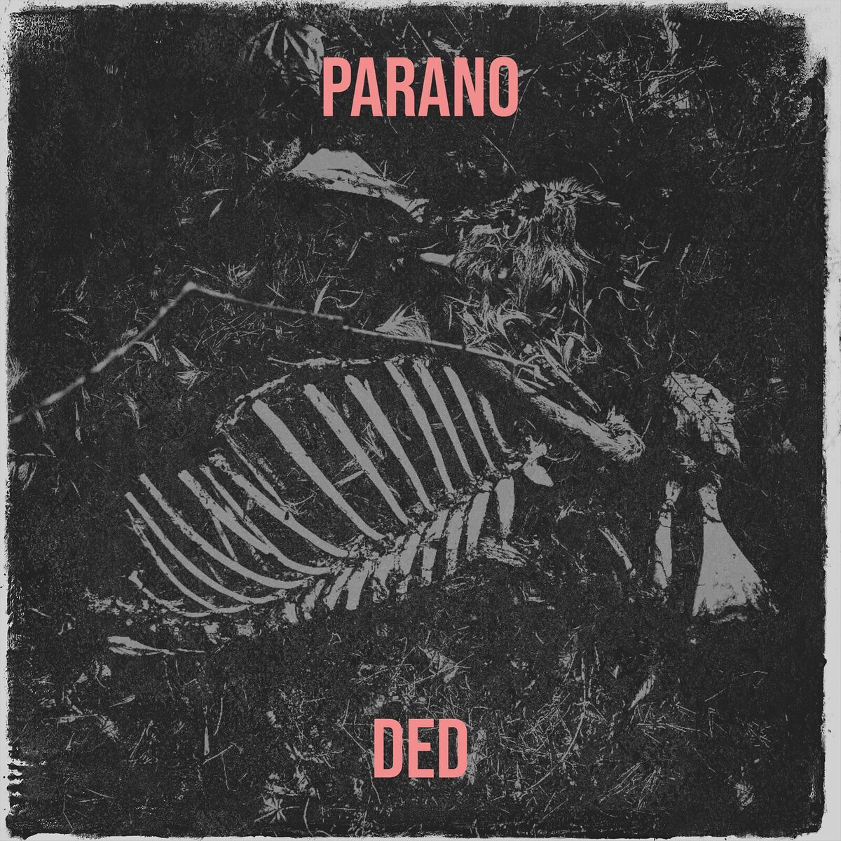 Album cover of Parano
