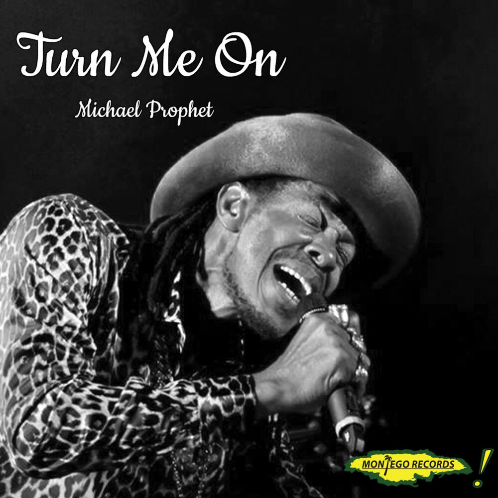 Picture of Turn Me On