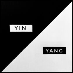 Cover of Yin Yang