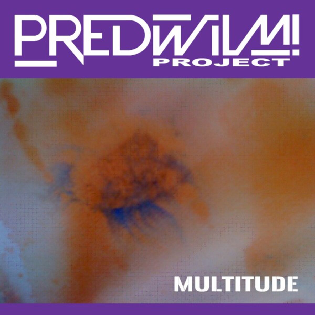 Album cover of Multitude (Expanded Edition)
