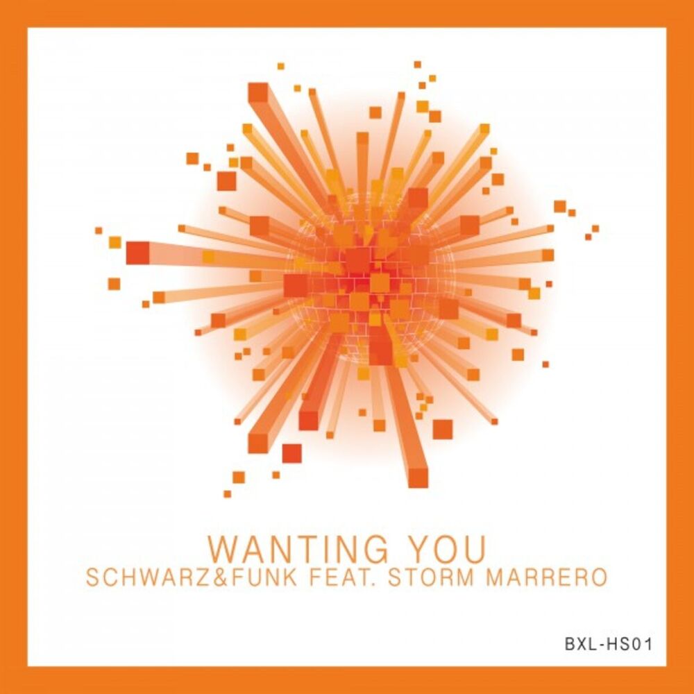Picture of Wanting You