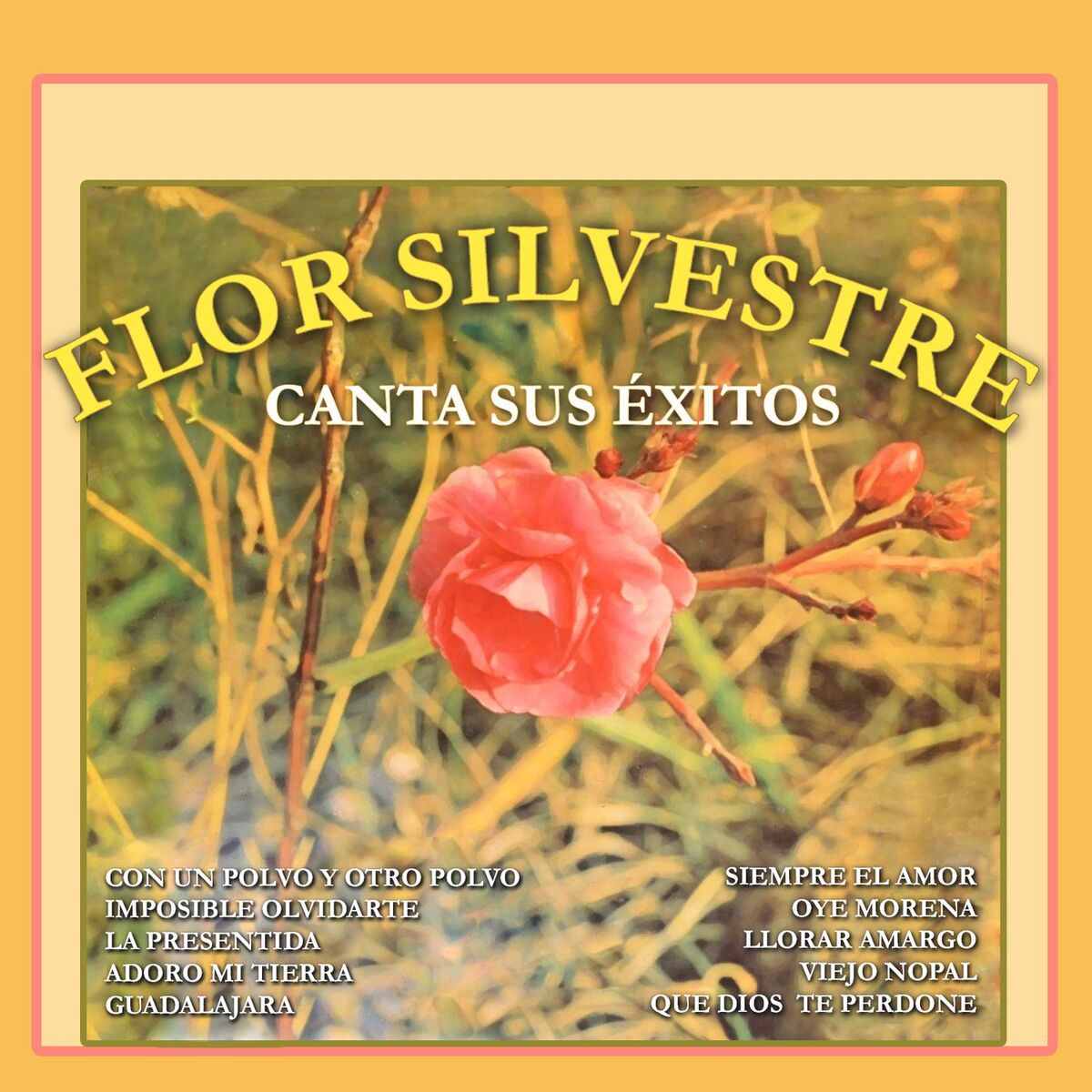 Album cover of Canta Sus Éxitos