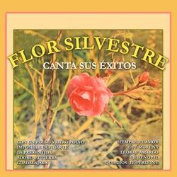 Cover of Canta Sus Éxitos