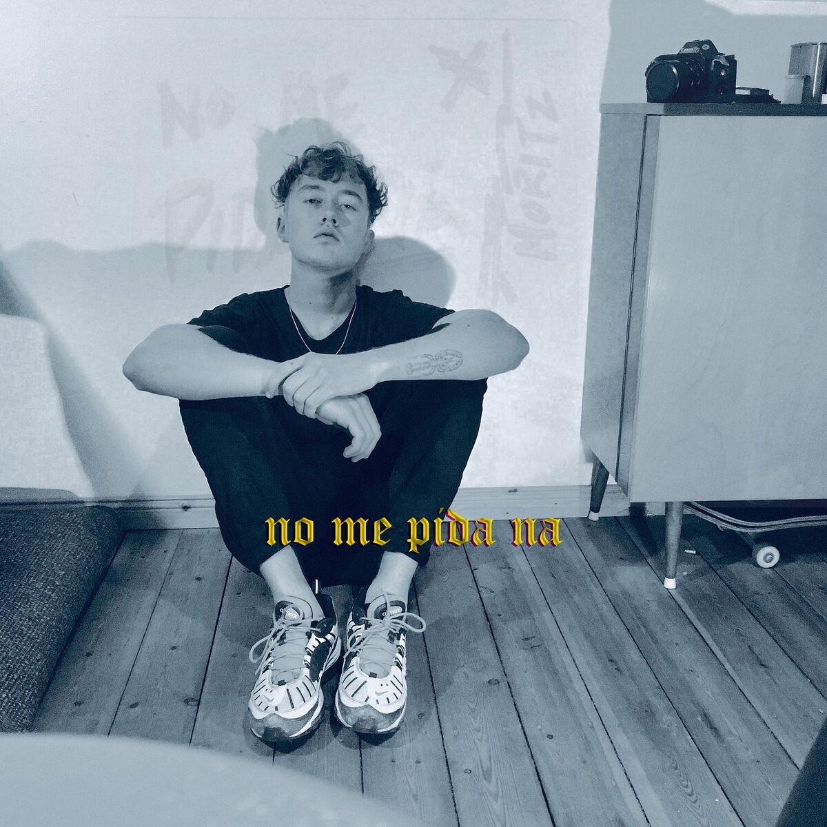 Album cover of No Me Pida Na