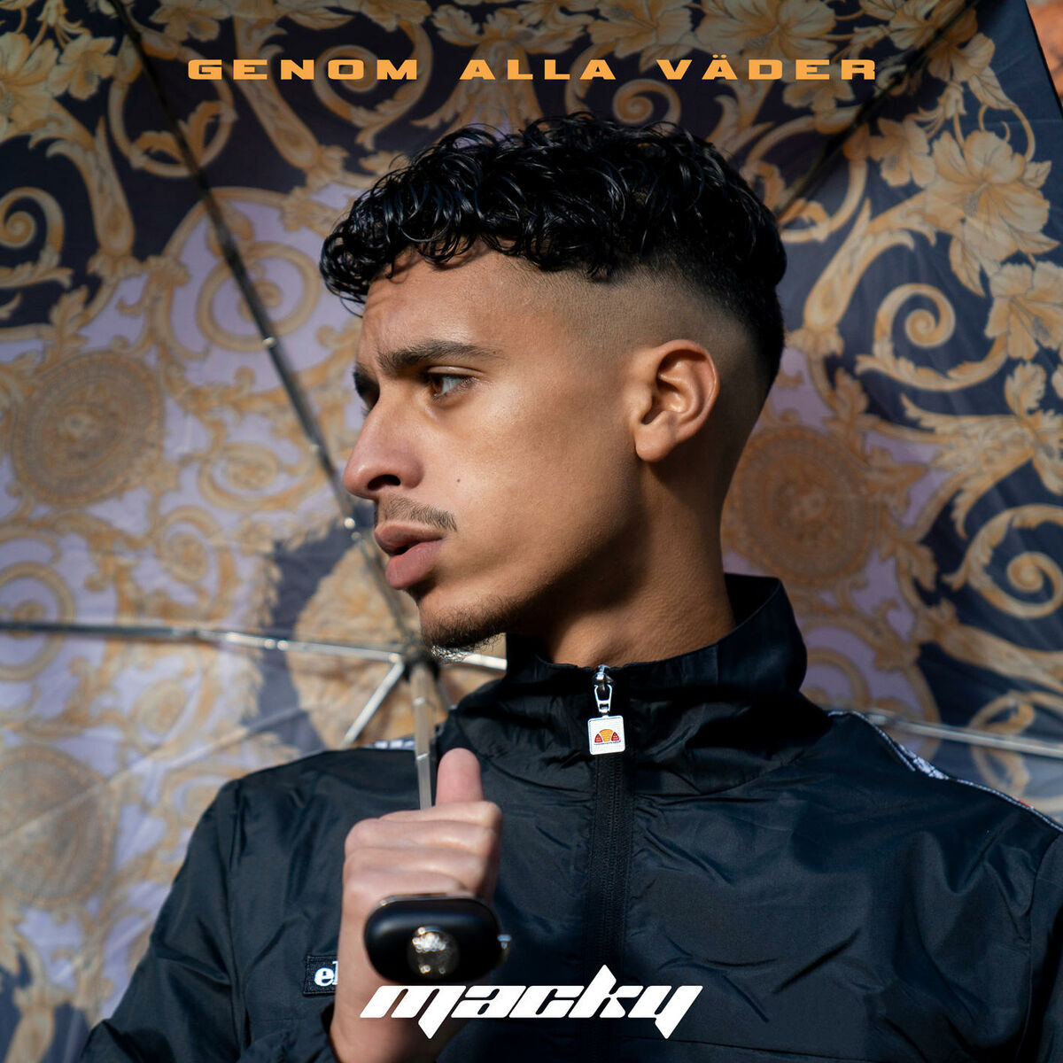 Album cover of Genom alla väder