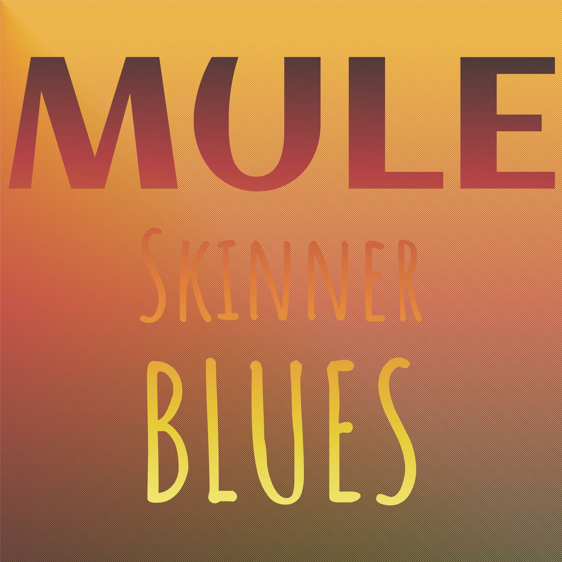 Album cover of Mule Skinner Blues