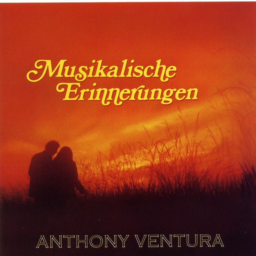 Picture of Musikalische Erinnerungen - Die Großen Erfolge