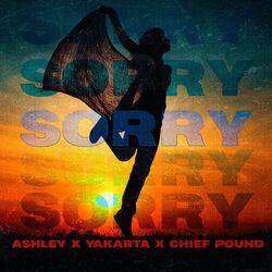 Cover of Sorry