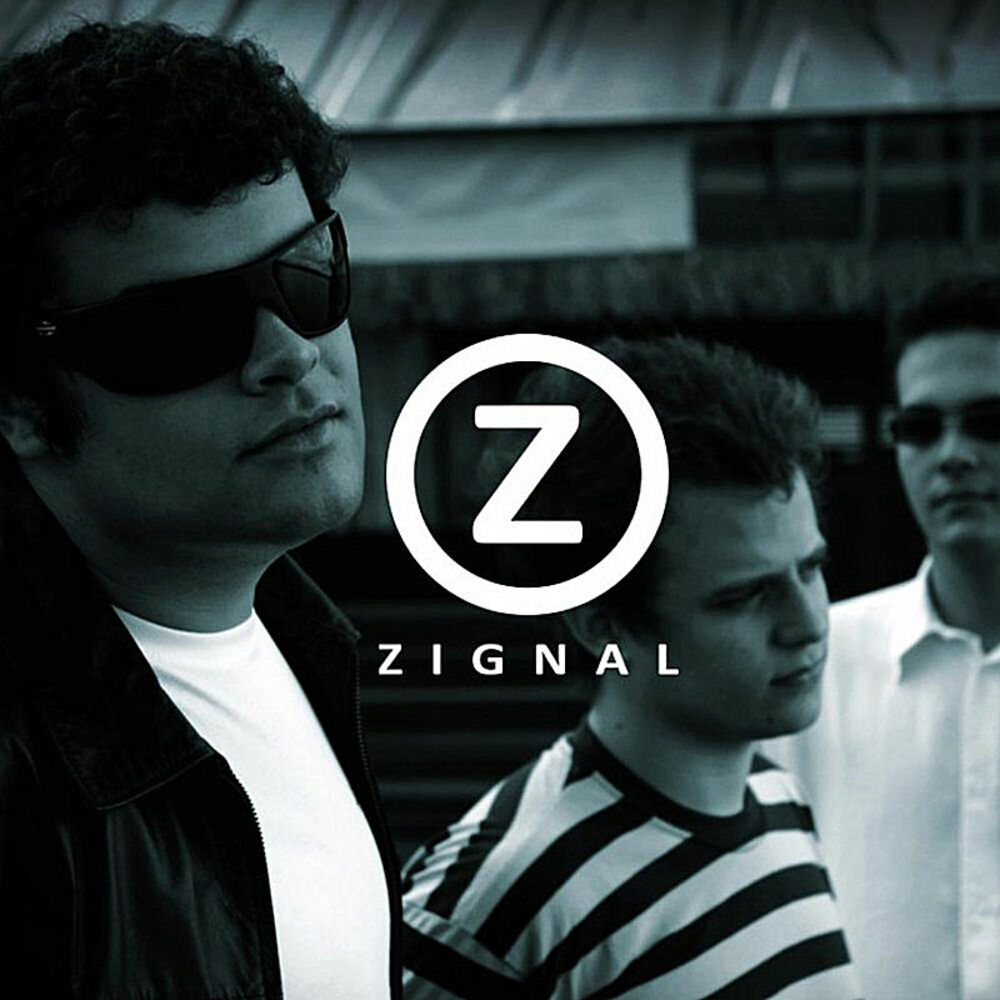 Picture of Zignal