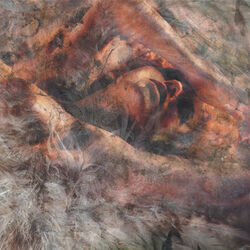 Cover of Unloved and Weeded Out